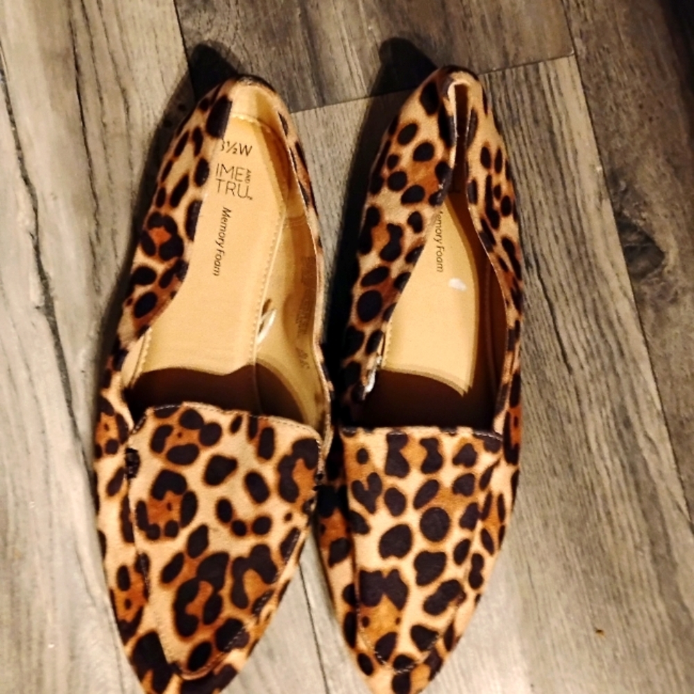 Leopard slides